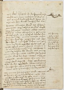 Birds Flight Code, Sheet 13 Recto